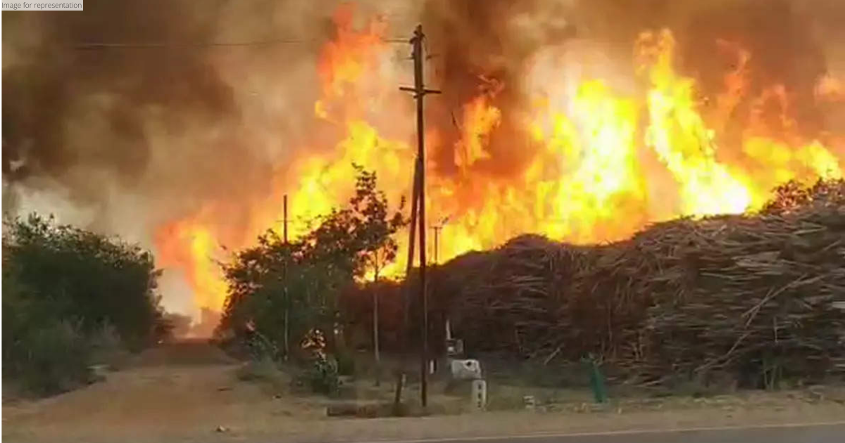`Efforts underway to douse fire at wood depot in Maharashtra's Ballarpur